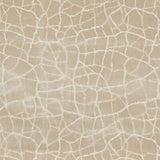 KRAVET COUTURE 34780.16.0 FORMATION CHAMPAGNE Fabric - Eade's Wallpaper