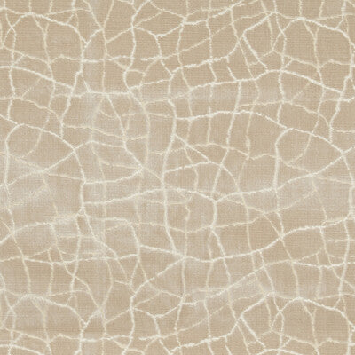 KRAVET COUTURE 34780.16.0 FORMATION CHAMPAGNE Fabric - Eade's Wallpaper