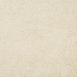 KRAVET COUTURE 34826.116.0 CLOUD BURST OYSTER Fabric - Eade's Wallpaper