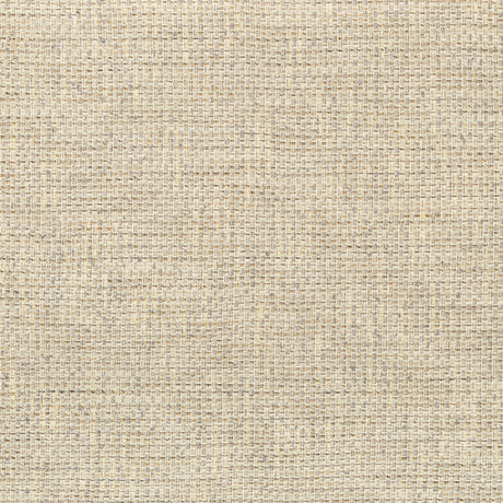 KRAVET COUTURE 34876.11.0 WALK ABOUT PEBBLE Fabric - Eade's Wallpaper