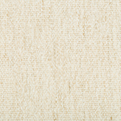 KRAVET COUTURE 34937.111.0 RANCHO ECRU Fabric - Eade's Wallpaper
