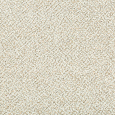 KRAVET COUTURE 34956.11.0 BABBIT VAPOR Fabric - Eade's Wallpaper