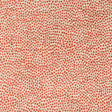 KRAVET DESIGN 34971.19.0 KRAVET DESIGN 34971-19 Fabric - Eade's Wallpaper
