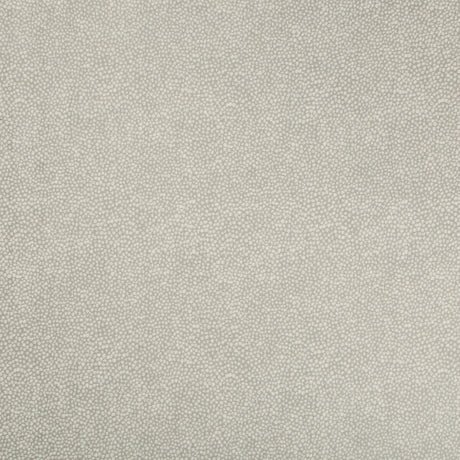 KRAVET BASICS 35064.11.0 PEBBLEDOT STONE Fabric - Eade's Wallpaper