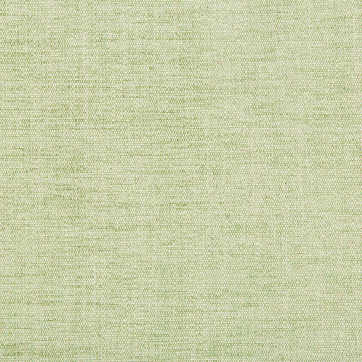 KRAVET BASICS 35297.13.0 RUTLEDGE LEAF Fabric - Eade's Wallpaper