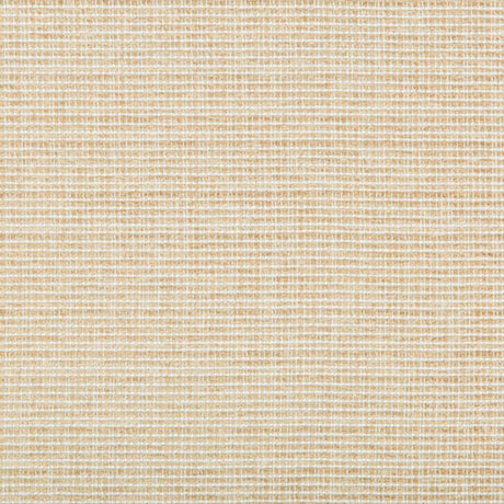 KRAVET BASICS 35345.16.0 SADDLEBROOK SAND Fabric - Eade's Wallpaper