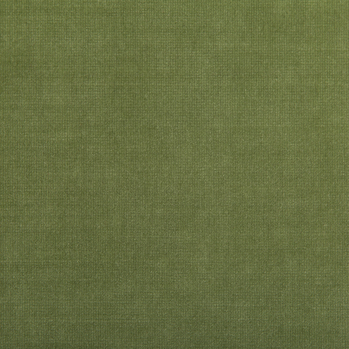 KRAVET SMART 35360.333.0 CHESSFORD LEAF Fabric - Eade's Wallpaper