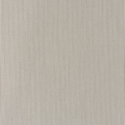 KRAVET BASICS KRAVET BASICS 35374.6.0 in 35374-6 Fabric - CH