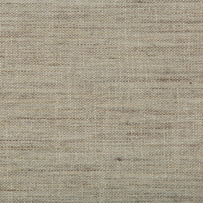 KRAVET DESIGN 35377.11.0 GRANULATED MIST Fabric - Eade's Wallpaper