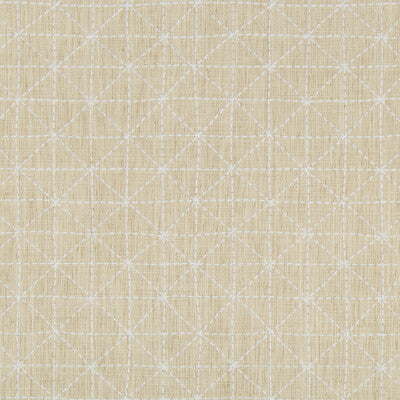 KRAVET DESIGN 35380.116.0 APPOINTED PAPYRUS Fabric - Eade's Wallpaper