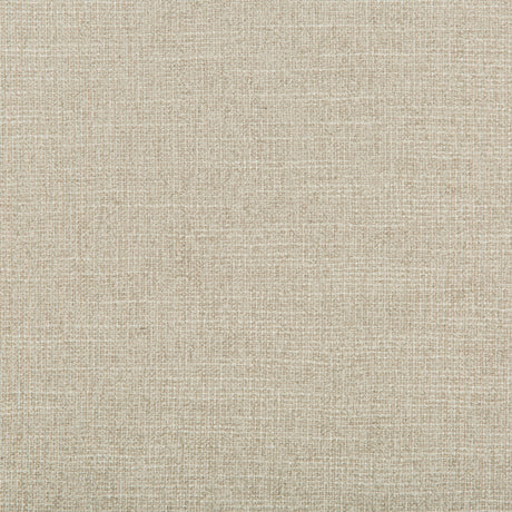 KRAVET DESIGN 35397.11.0 ADAPTABLE QUARTZ Fabric - Eade's Wallpaper