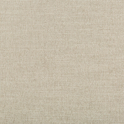 KRAVET DESIGN 35397.11.0 ADAPTABLE QUARTZ Fabric - Eade's Wallpaper