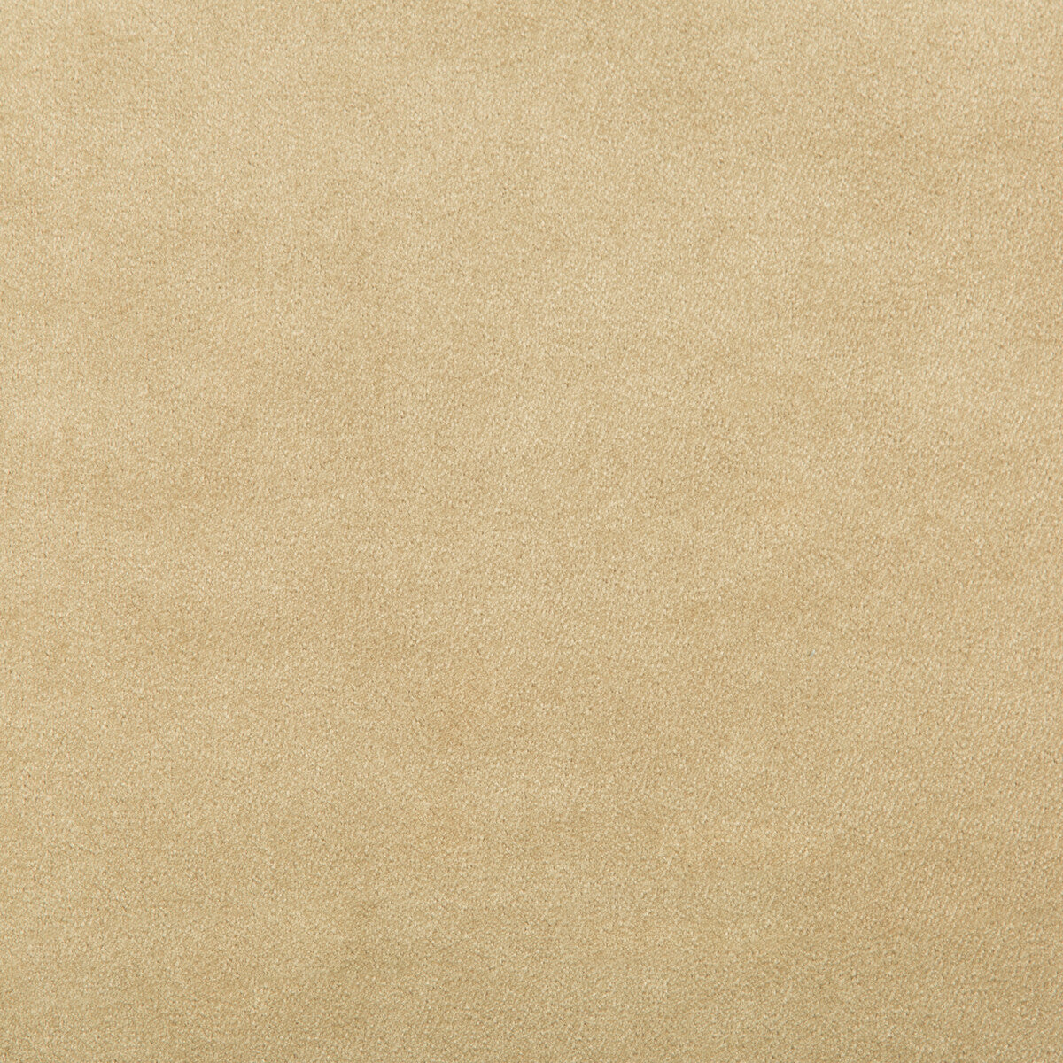 KRAVET CONTRACT 35402.106.0 MADISON VELVET SANDALWOOD Fabric - Eade's Wallpaper
