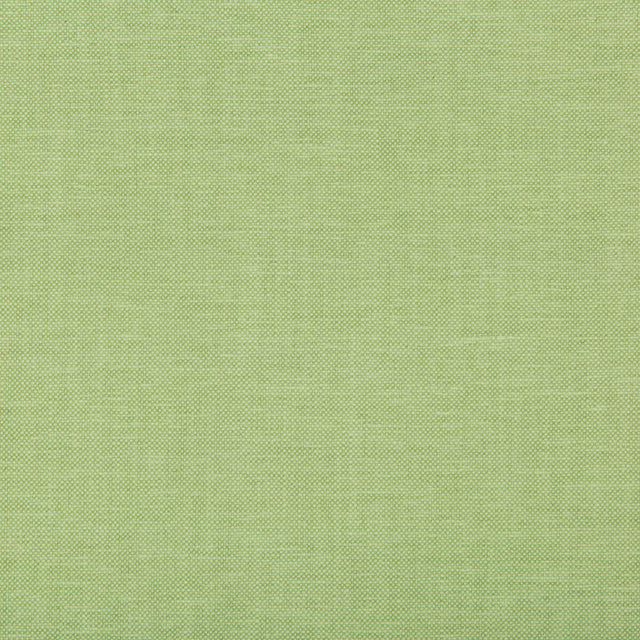 KRAVET BASICS 35543.13.0 OXFORDIAN LEAF Fabric - Eade's Wallpaper