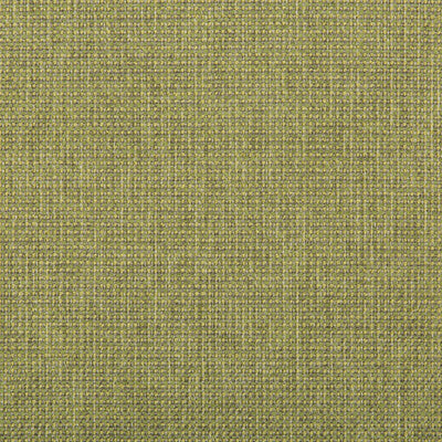 KRAVET CONTRACT 35745.314.0 BURR MEADOW Fabric - Eade's Wallpaper