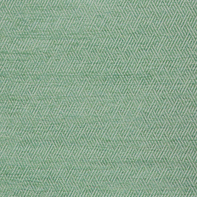 KRAVET DESIGN 35822.3.0 BASSLET ALOE Fabric - Eade's Wallpaper