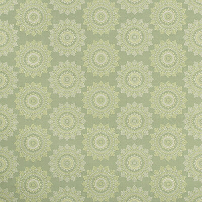 KRAVET CONTRACT 35865.30.0 PIATTO ENDIVE Fabric - Eade's Wallpaper