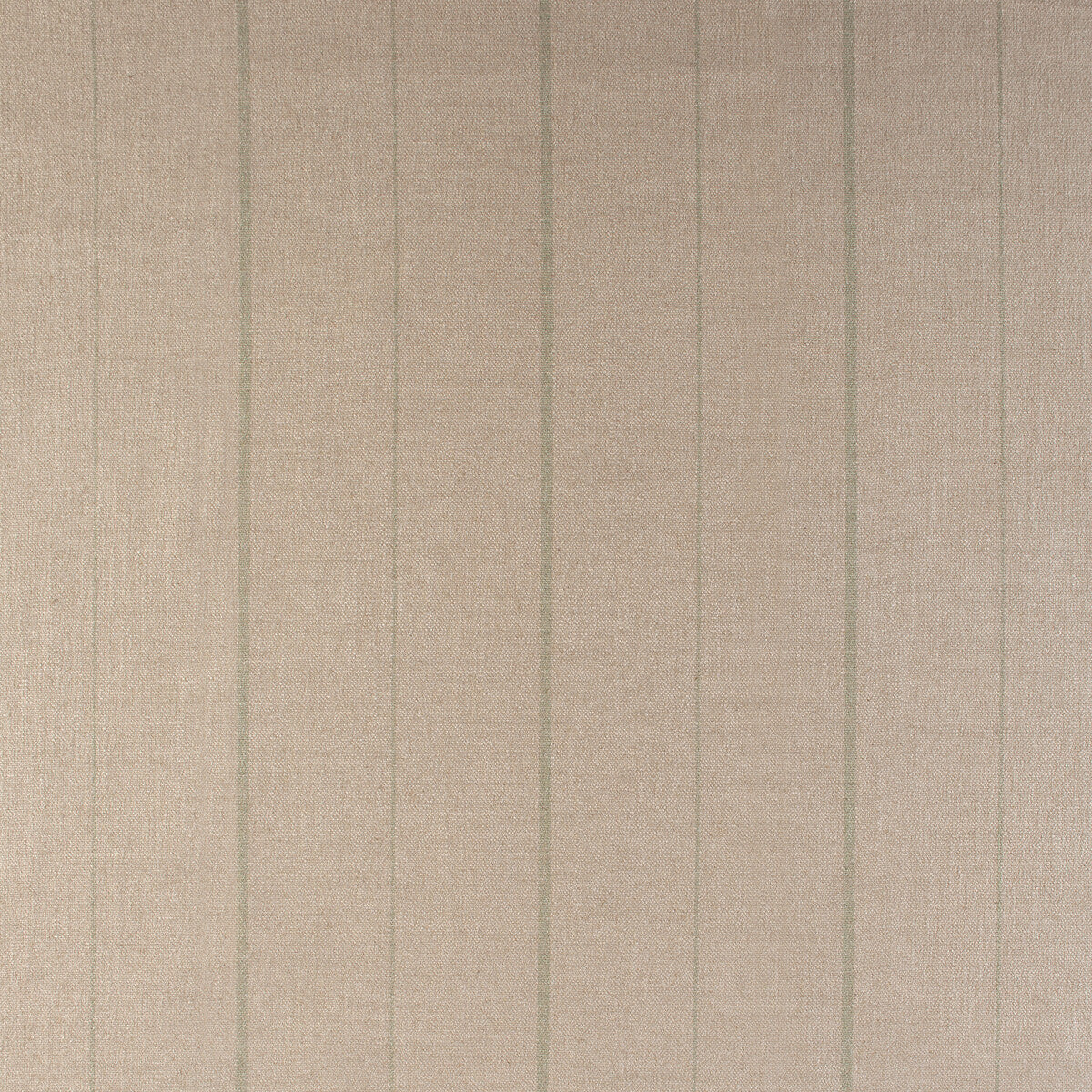 KRAVET DESIGN 35909.316.0 CHIPPER CACTUS Fabric - Eade's Wallpaper