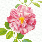 Eijffinger 359158 Peony Wall Mural