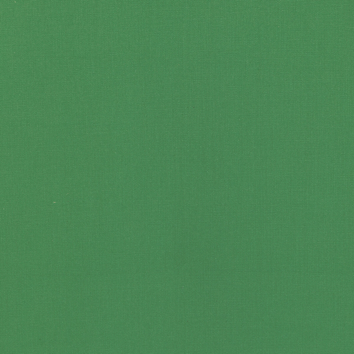 KRAVET BASICS 36055.3.0 KRAVET BASICS 36055-3 Fabric - Eade's Wallpaper