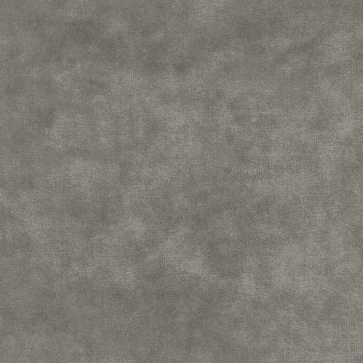 KRAVET COUTURE 36064.11.0 REGAL VELVET PLATINUM Fabric - Eade's Wallpaper