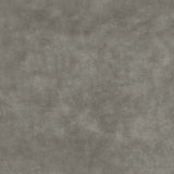 KRAVET COUTURE 36064.11.0 REGAL VELVET PLATINUM Fabric - Eade's Wallpaper
