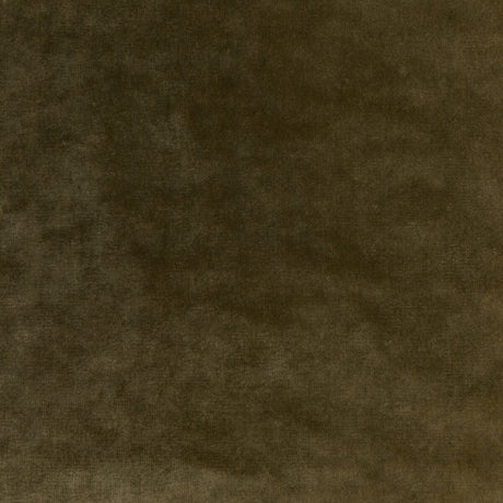 KRAVET COUTURE 36064.303.0 REGAL VELVET OLIVE Fabric - Eade's Wallpaper