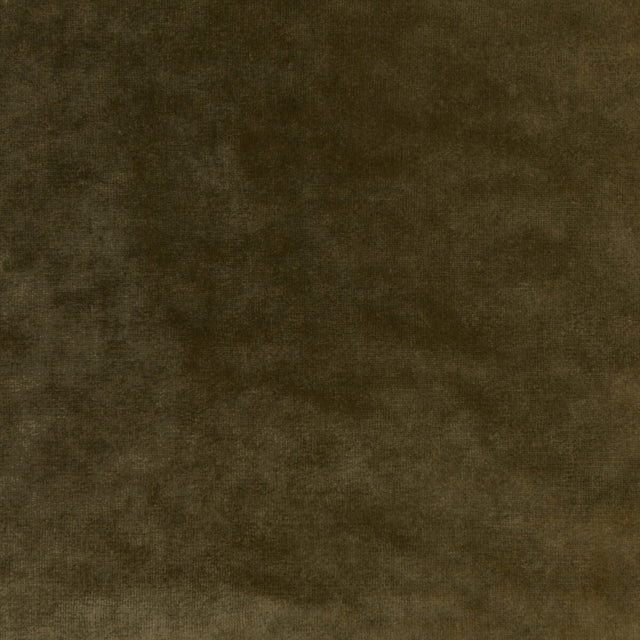 KRAVET COUTURE 36064.303.0 REGAL VELVET OLIVE Fabric - Eade's Wallpaper