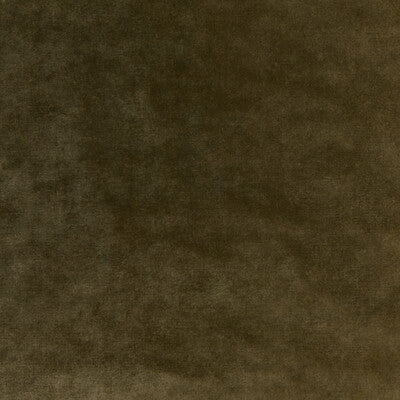 KRAVET COUTURE 36064.303.0 REGAL VELVET OLIVE Fabric - Eade's Wallpaper