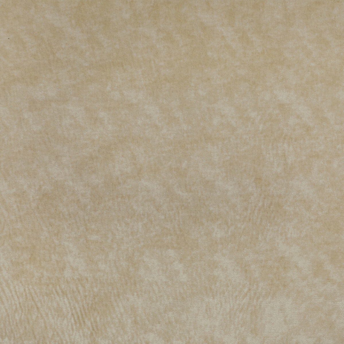 KRAVET COUTURE 36065.116.0 TRIUMPHANT CREME Fabric - Eade's Wallpaper