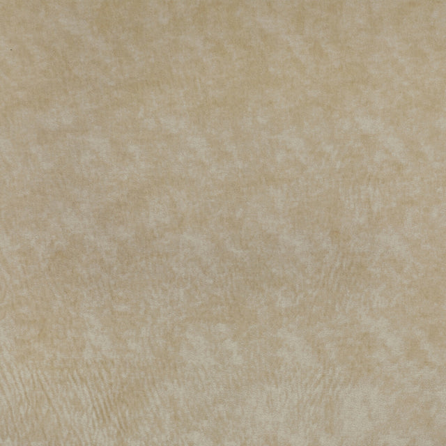 KRAVET COUTURE 36065.116.0 TRIUMPHANT CREME Fabric - Eade's Wallpaper