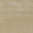 KRAVET COUTURE 36066.11.0 MAJESTY VELVET STONE Fabric - Eade's Wallpaper