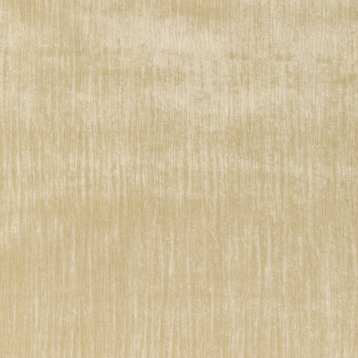 KRAVET COUTURE 36066.116.0 MAJESTY VELVET CREAM Fabric - Eade's Wallpaper