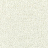 KRAVET SMART 36074.101.0 BARTON CHENILLE CLOUD Fabric - Eade's Wallpaper
