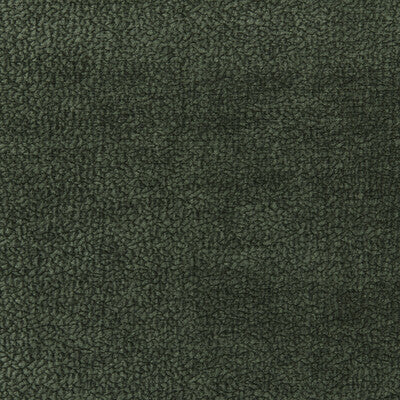 KRAVET SMART 36074.303.0 BARTON CHENILLE MOSS Fabric - BARTON CHENILLE II