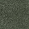 KRAVET SMART 36074.33.0 BARTON CHENILLE FERN Fabric - BARTON CHENILLE II