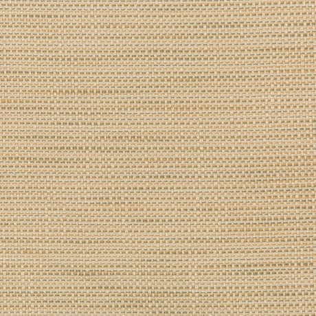 KRAVET DESIGN 36082.106.0 KRAVET DESIGN 36082-106 Fabric - Eade's Wallpaper