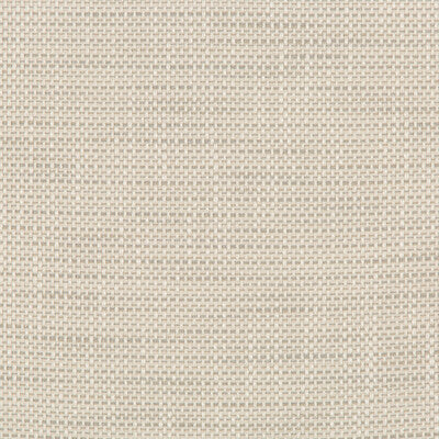 KRAVET DESIGN 36082.1101.0 KRAVET DESIGN 36082-1101 Fabric - Eade's Wallpaper