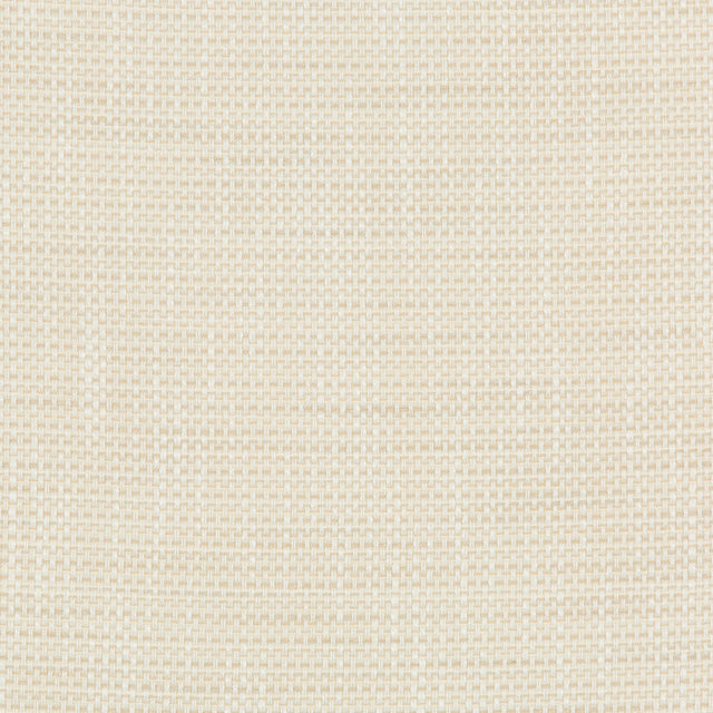 KRAVET DESIGN 36082.1116.0 KRAVET DESIGN 36082-1116 Fabric - Eade's Wallpaper