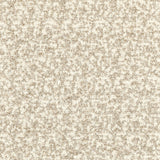 KRAVET COUTURE 36105.161.0 FLYING HIGH WHITE SAND Fabric - Eade's Wallpaper