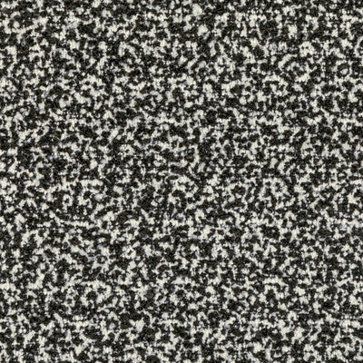 KRAVET COUTURE 36105.81.0 FLYING HIGH IVORY NOIR Fabric - Eade's Wallpaper