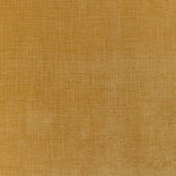 KRAVET CONTRACT 36255.4.0 ACCOMMODATE DIJON Fabric - Eade's Wallpaper