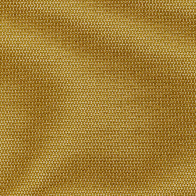 KRAVET CONTRACT 36256.4.0 MOBILIZE MIDAS Fabric - Eade's Wallpaper