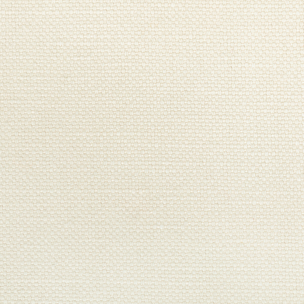 KRAVET BASICS 36282.1011.0 CARSON LACE Fabric - Eade's Wallpaper