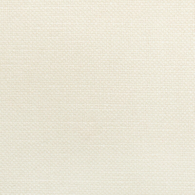 KRAVET BASICS 36282.1011.0 CARSON LACE Fabric - Eade's Wallpaper