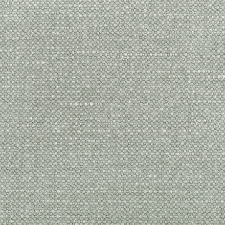KRAVET BASICS 36282.121.0 CARSON PORPOISE Fabric - Eade's Wallpaper