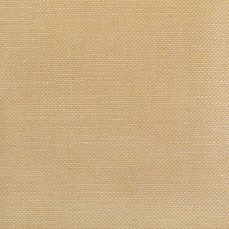 KRAVET BASICS 36282.1614.0 CARSON TUSSAH Fabric - Eade's Wallpaper