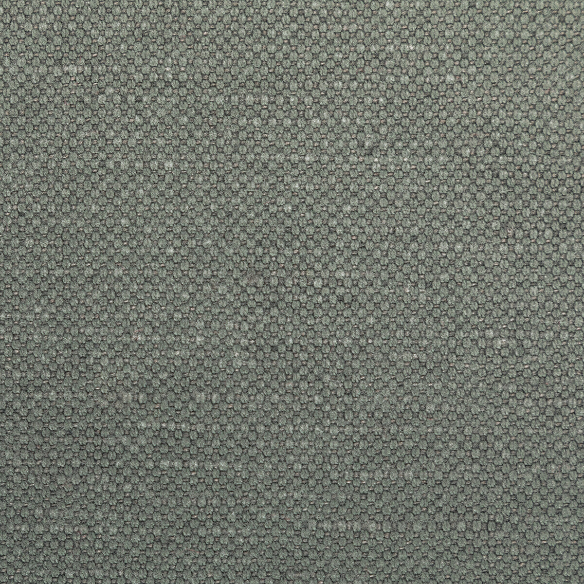 KRAVET BASICS 36282.2111.0 CARSON RHINO Fabric - Eade's Wallpaper