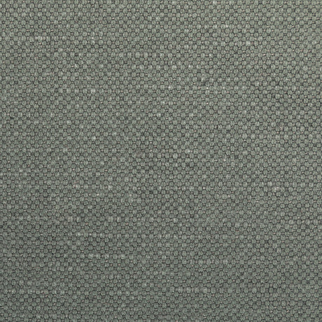 KRAVET BASICS 36282.2111.0 CARSON RHINO Fabric - Eade's Wallpaper