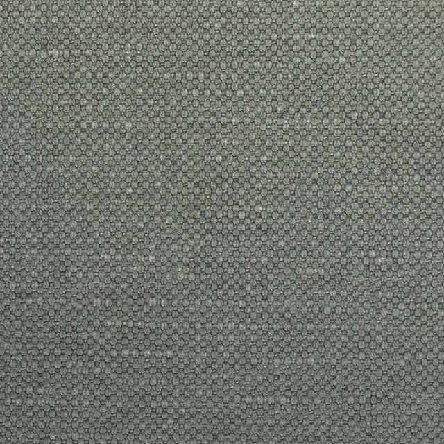 KRAVET BASICS 36282.2111.0 CARSON RHINO Fabric - Eade's Wallpaper